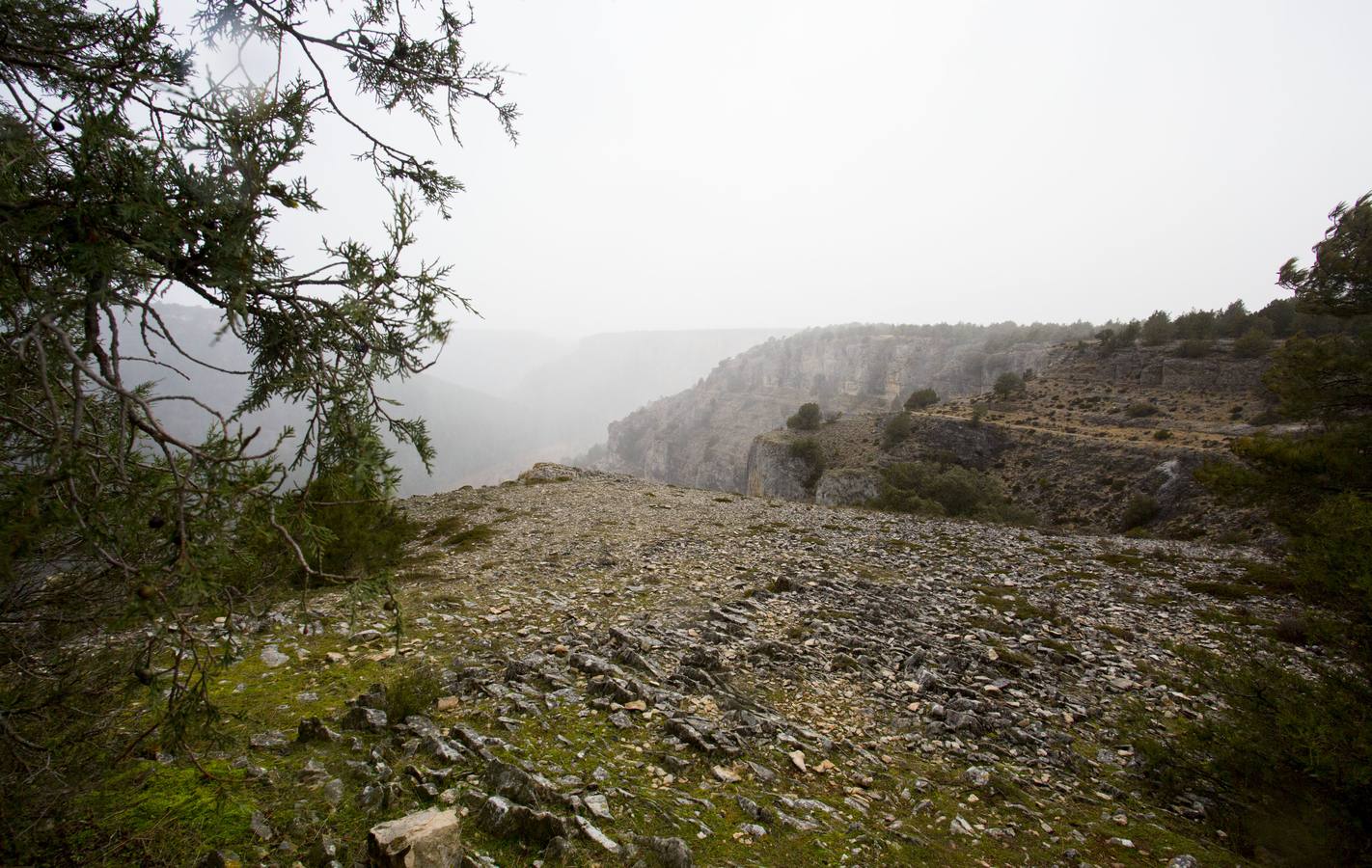 El sabor puro de Soria en un parque natural donde el agua y el viento han esculpido un paisaje espectacular