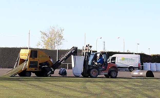 Operarios proceden a la retirada del césped artificial del Mariano Chocolate.