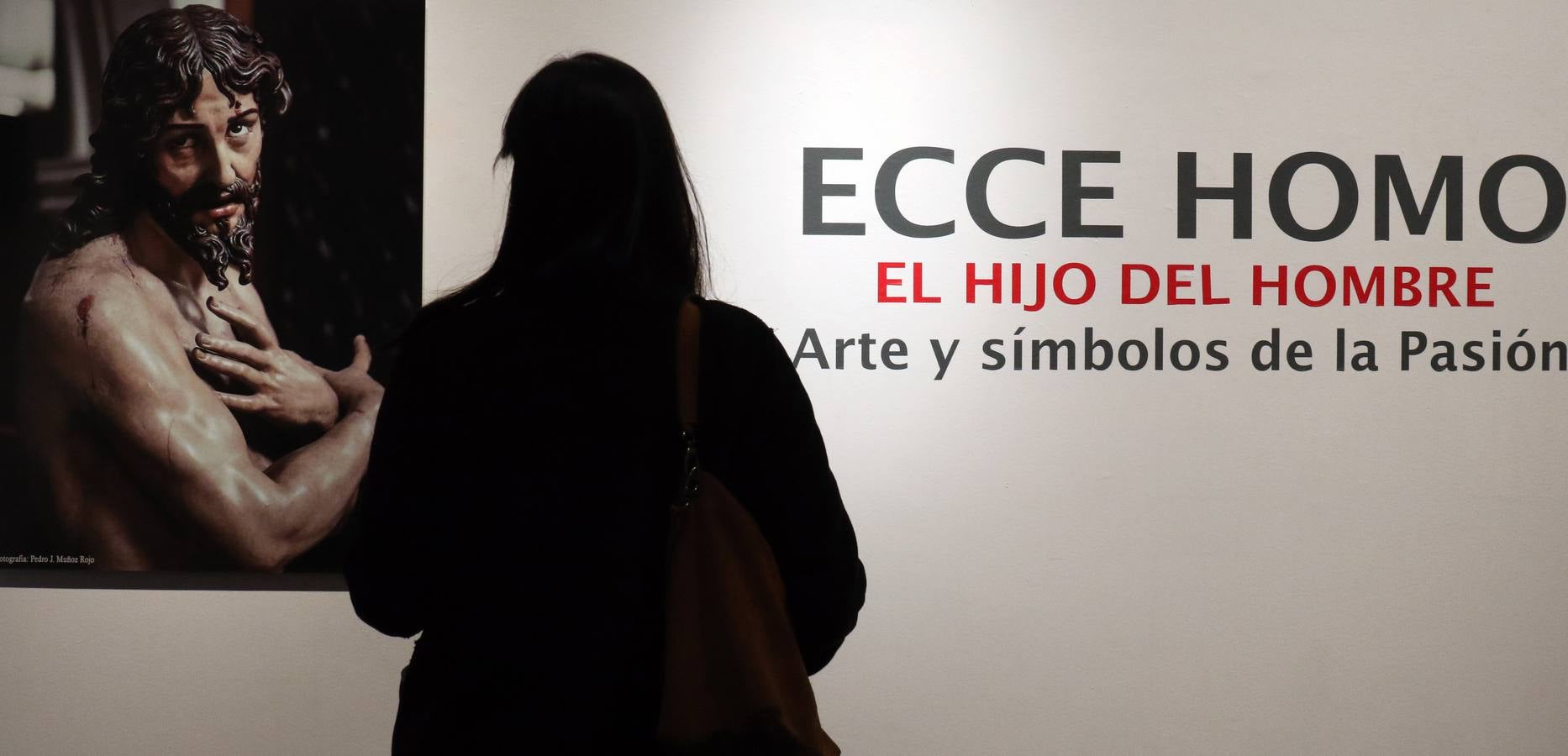 La muestra, abierta hasta el 23 de abril, repasa la visión de artistas como Juan de Juni, Berruguete o Santiago Bellido y Pedro Guerra 