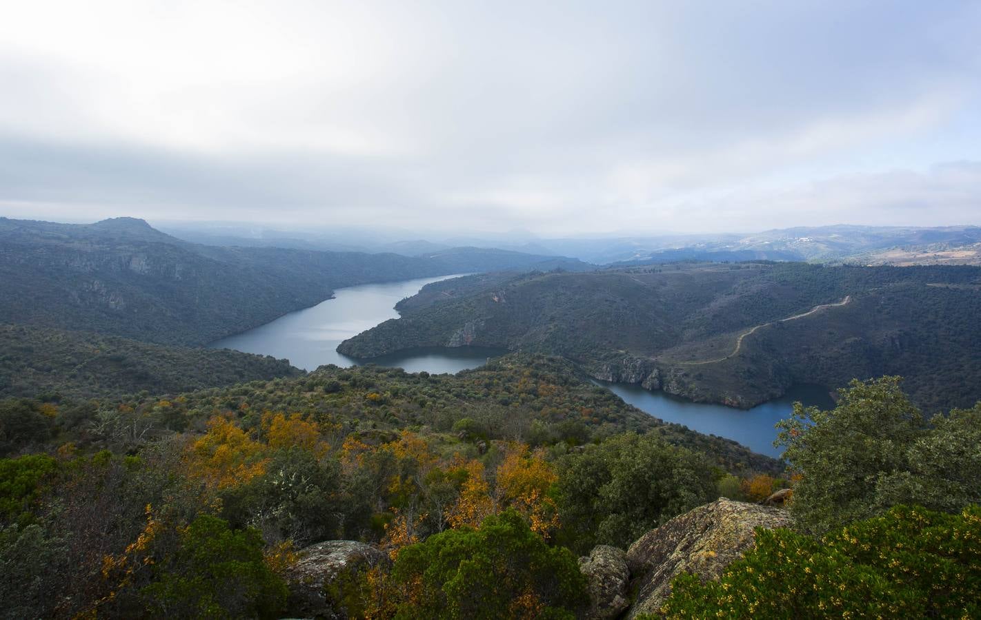 Visiones espectaculares y rincones llenos de sabor en un territorio verde, hendido por las aguas del Duero