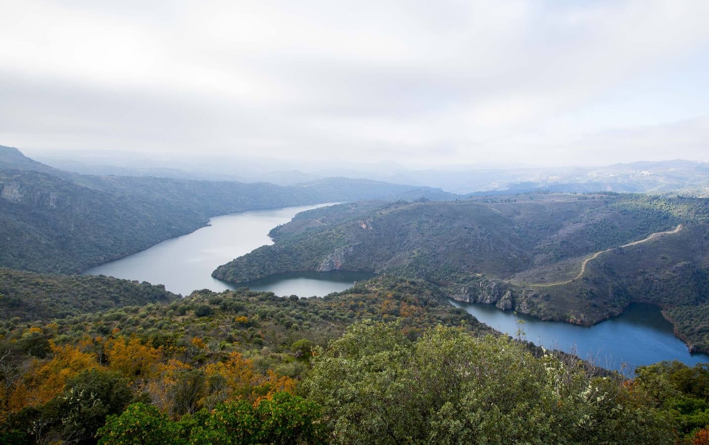 Visiones espectaculares y rincones llenos de sabor en un territorio verde, hendido por las aguas del Duero