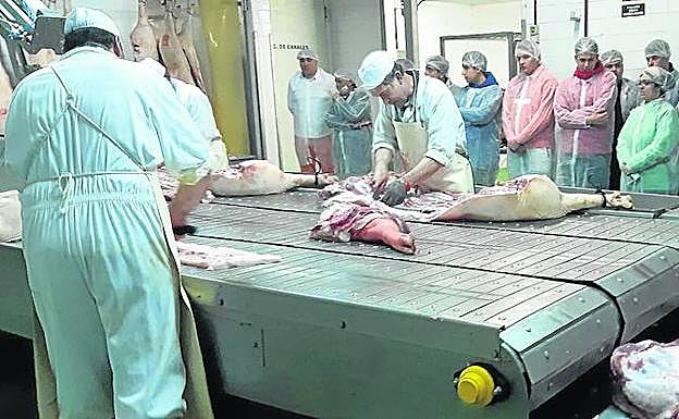 Los alumnos observan las labores de despiece en una de las fábricas. 