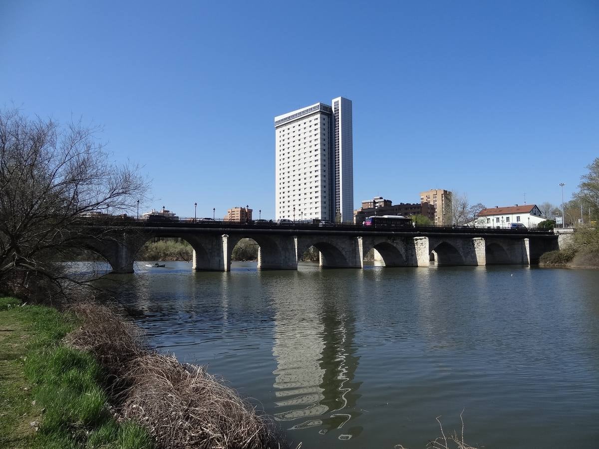 Fotos: El trabajo de los voluntarios libera de troncos los ojos del Puente Mayor de Valladolid