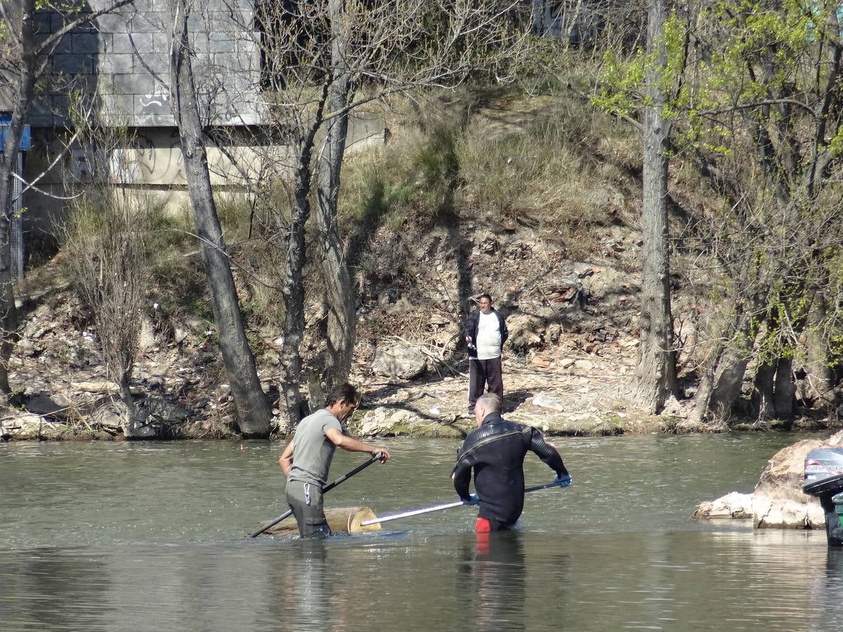 Fotos: El trabajo de los voluntarios libera de troncos los ojos del Puente Mayor de Valladolid