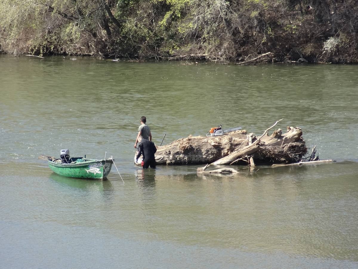 Fotos: El trabajo de los voluntarios libera de troncos los ojos del Puente Mayor de Valladolid