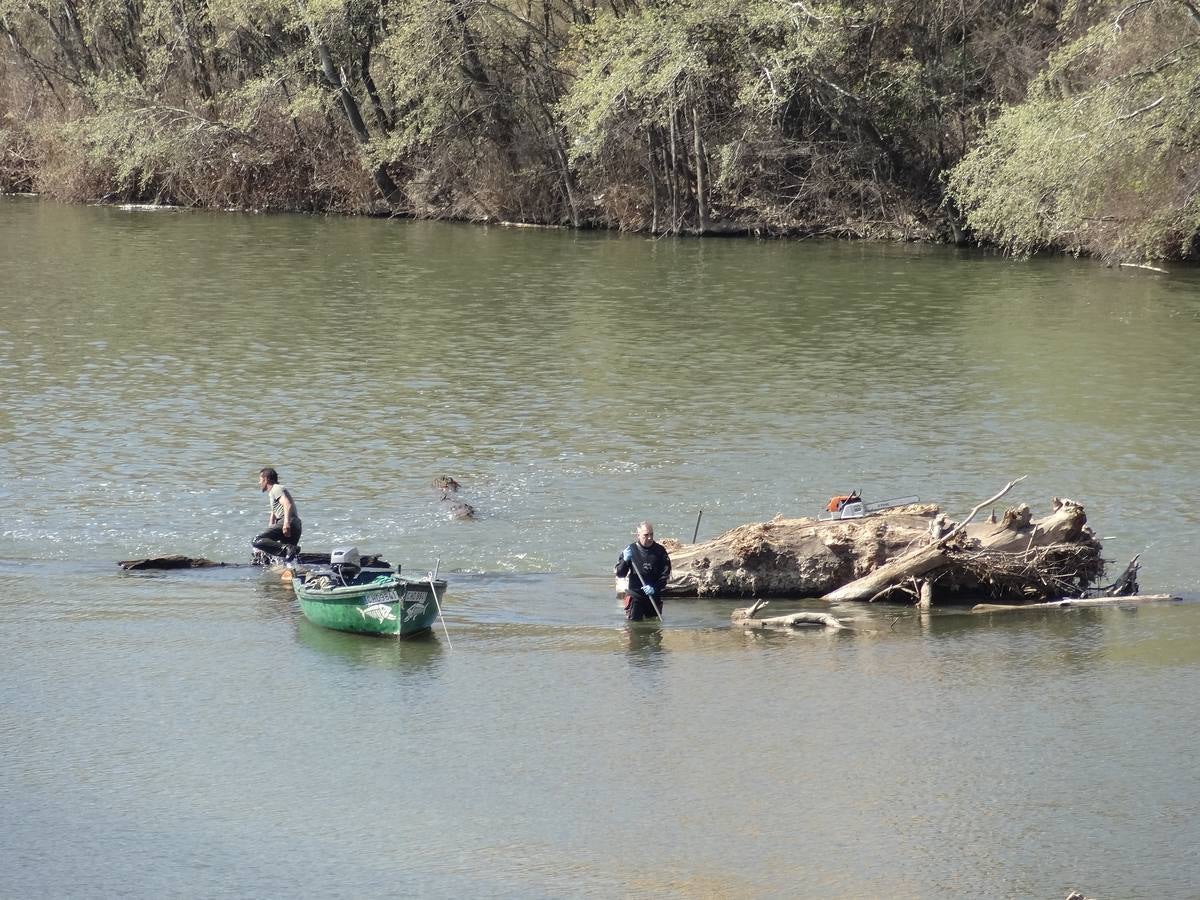 Fotos: El trabajo de los voluntarios libera de troncos los ojos del Puente Mayor de Valladolid