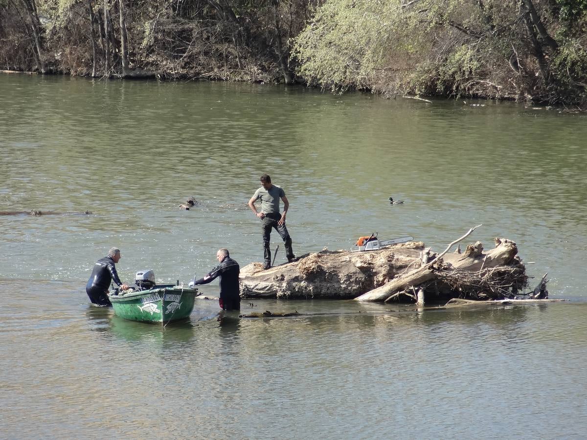 Fotos: El trabajo de los voluntarios libera de troncos los ojos del Puente Mayor de Valladolid