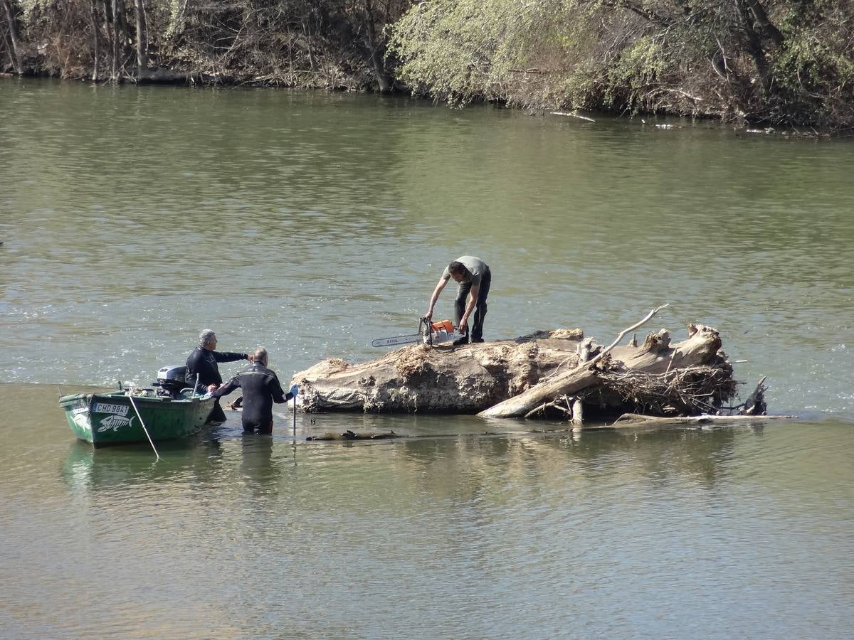 Fotos: El trabajo de los voluntarios libera de troncos los ojos del Puente Mayor de Valladolid