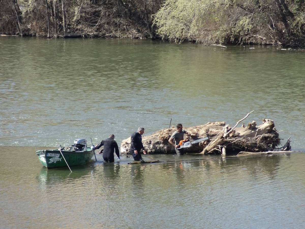 Fotos: El trabajo de los voluntarios libera de troncos los ojos del Puente Mayor de Valladolid