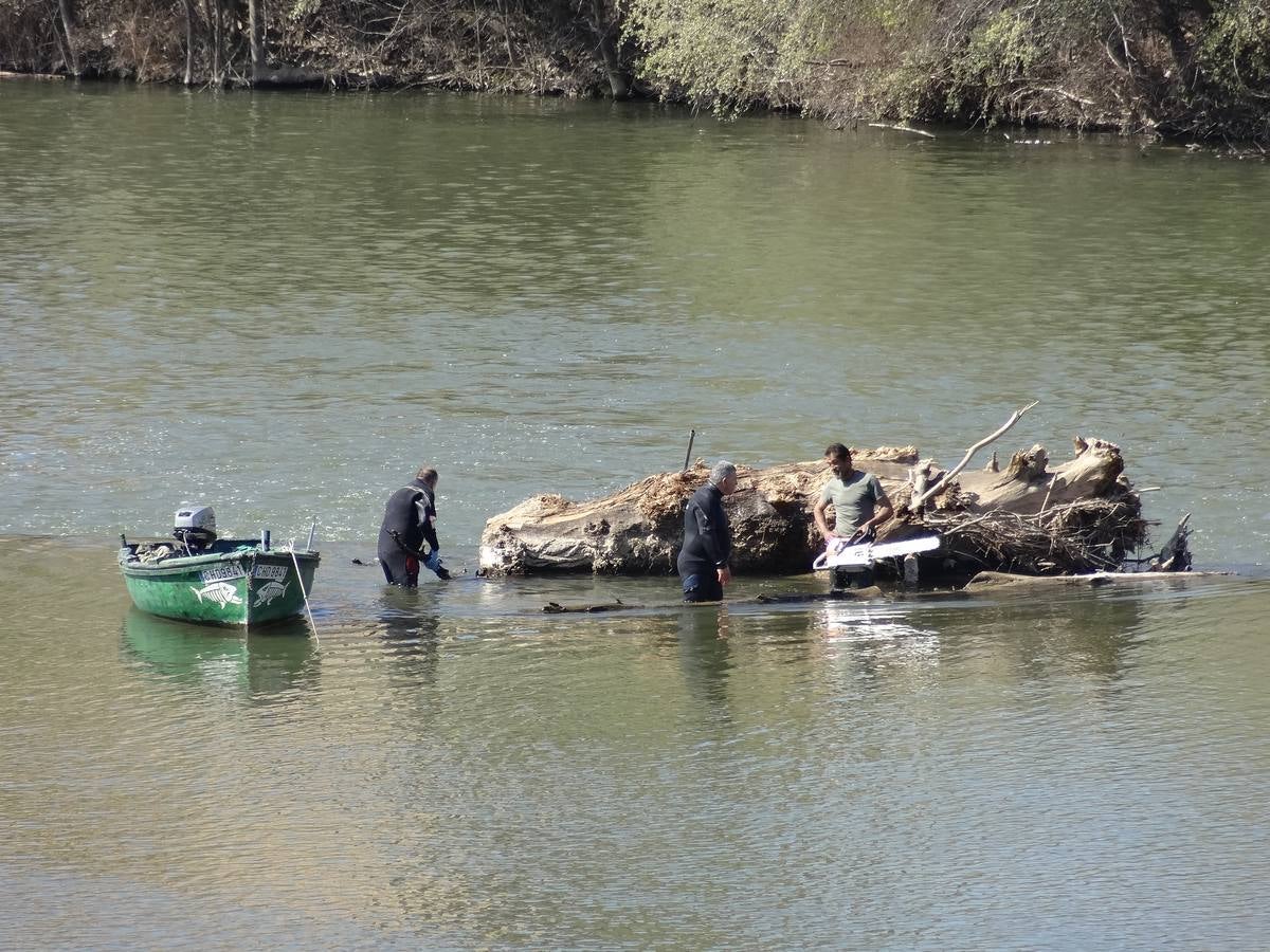 Fotos: El trabajo de los voluntarios libera de troncos los ojos del Puente Mayor de Valladolid