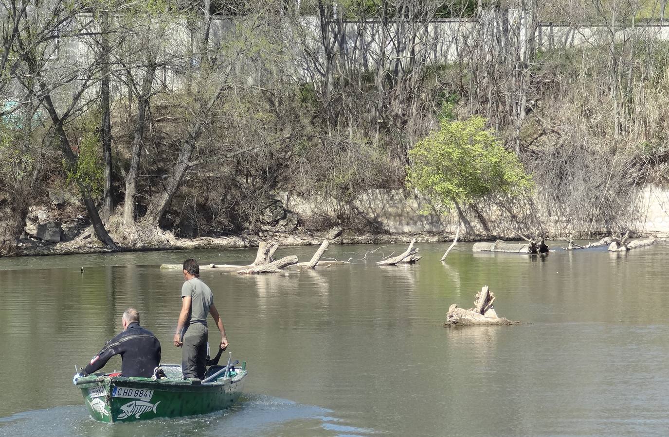 Fotos: El trabajo de los voluntarios libera de troncos los ojos del Puente Mayor de Valladolid