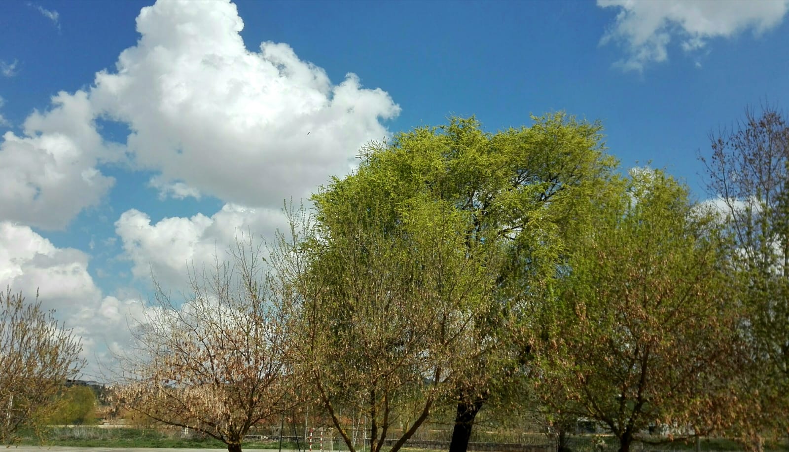 Medina de Rioseco.