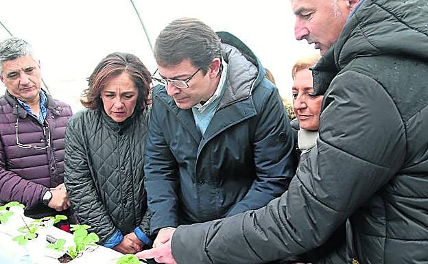 Mañueco, en el centro, en el interior de un invernadero del Carracillo. 