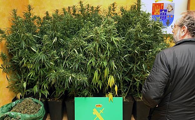 Galería. Operación antidroga de la Guardia Civil de Segovia en la zona de Villacastín