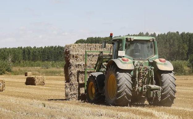 Un tractor trabaja en unas tierras de Palencia