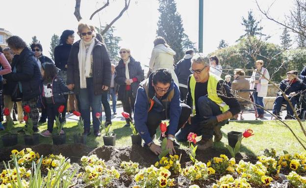 La plantación se realizó junto al Campo de San Francisco. 