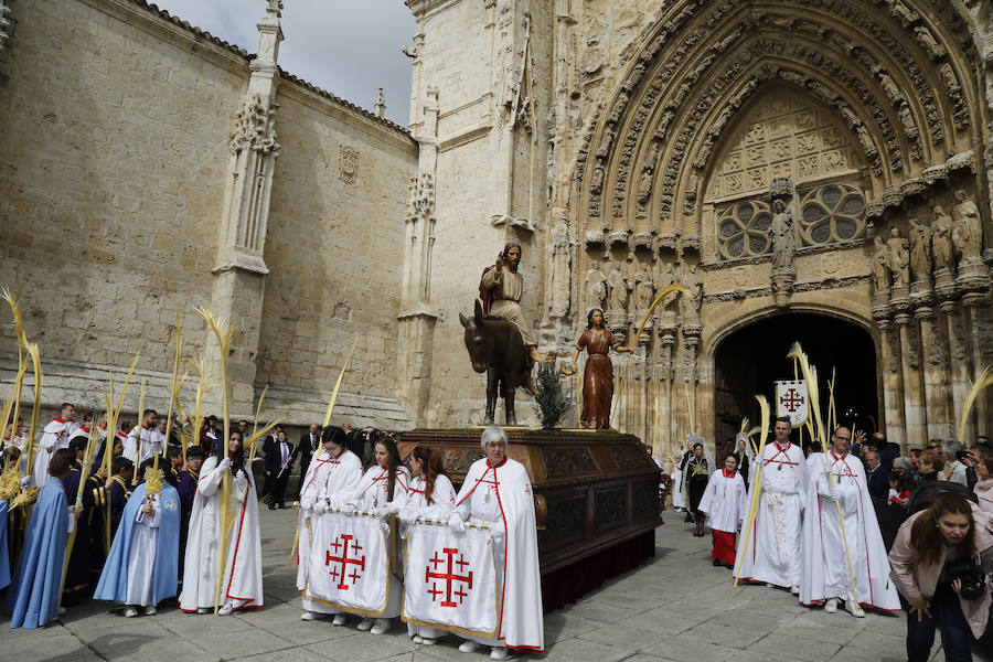 Fotos: Procesión del Domingo de Ramos en Palencia