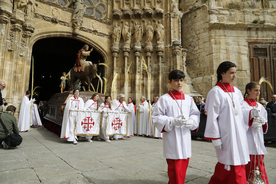 Fotos: Procesión del Domingo de Ramos en Palencia