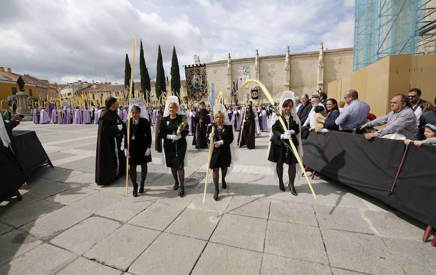 Fotos: Procesión del Domingo de Ramos en Palencia