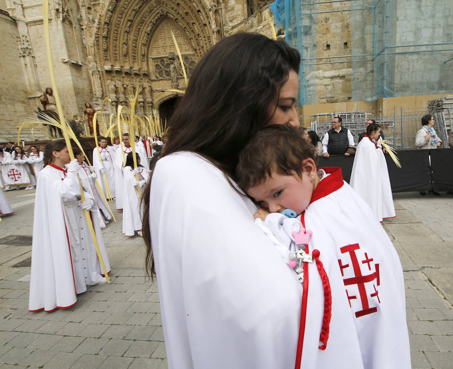 Fotos: Procesión del Domingo de Ramos en Palencia