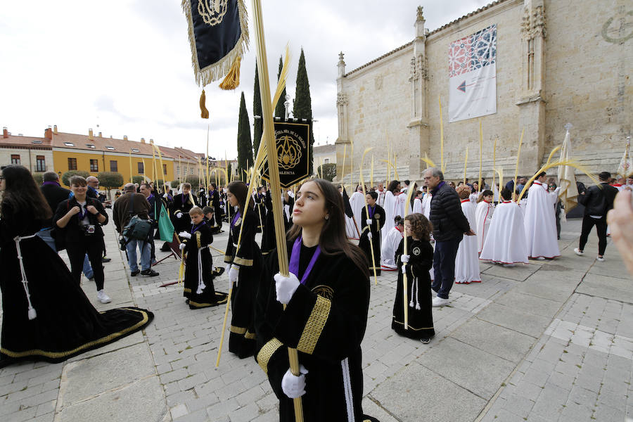 Fotos: Procesión del Domingo de Ramos en Palencia