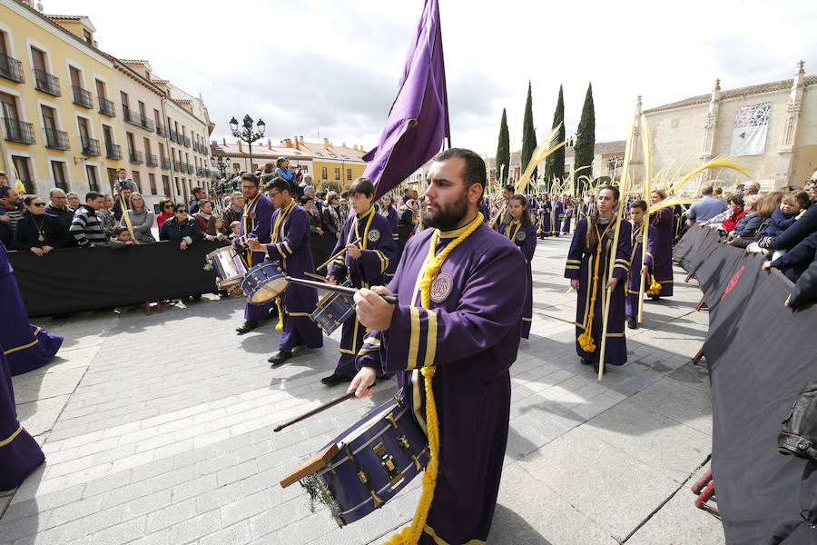 Fotos: Procesión del Domingo de Ramos en Palencia