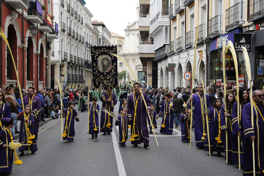 Fotos: Procesión del Domingo de Ramos en Palencia