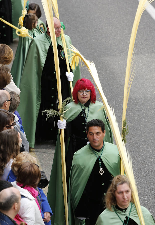 Fotos: Procesión del Domingo de Ramos en Palencia