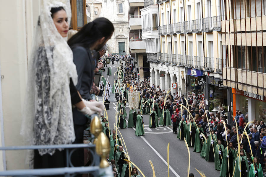 Fotos: Procesión del Domingo de Ramos en Palencia