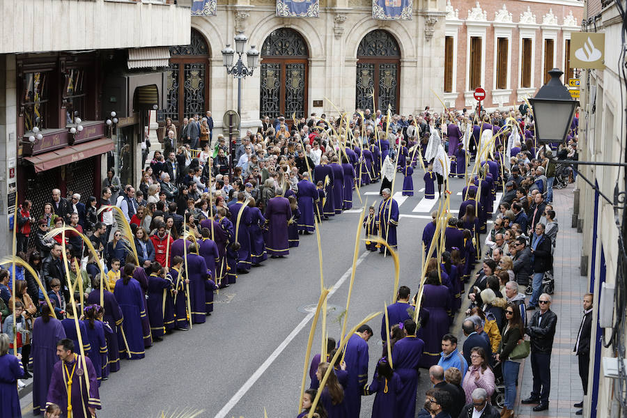 Fotos: Procesión del Domingo de Ramos en Palencia