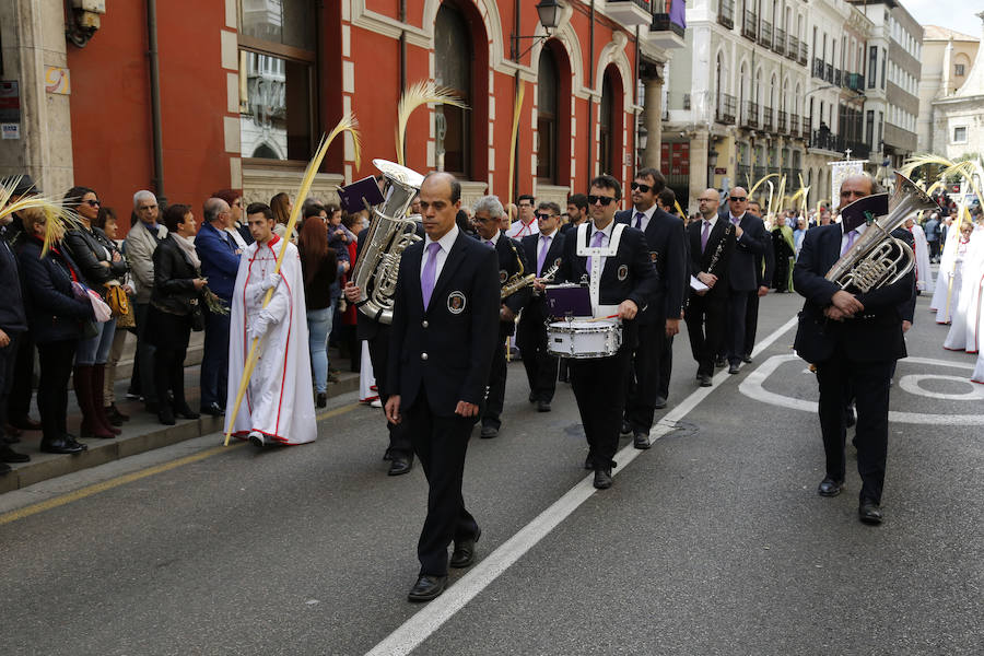 Fotos: Procesión del Domingo de Ramos en Palencia