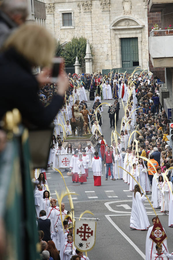 Fotos: Procesión del Domingo de Ramos en Palencia