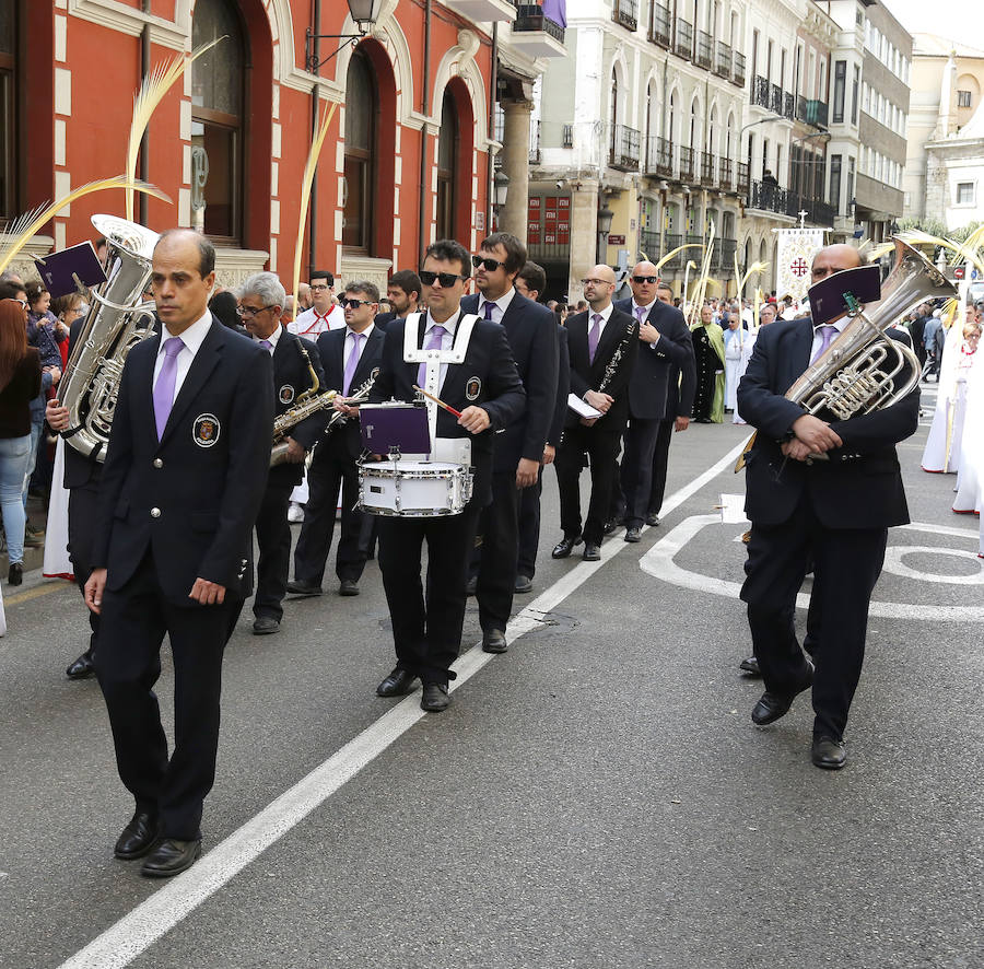 Fotos: Procesión del Domingo de Ramos en Palencia