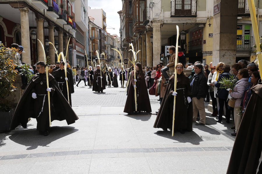 Fotos: Procesión del Domingo de Ramos en Palencia