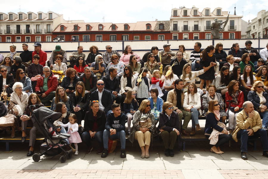 Fotos: Procesión de la Borriquilla en Valladolid (1/6)