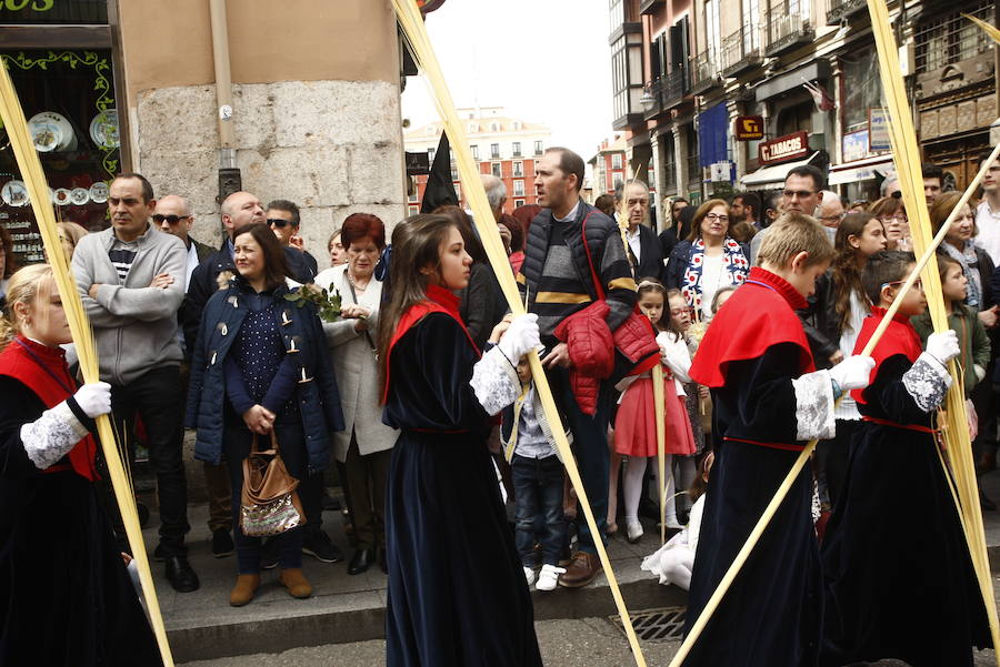 Fotos: Procesión de la Borriquilla en Valladolid (2/6)