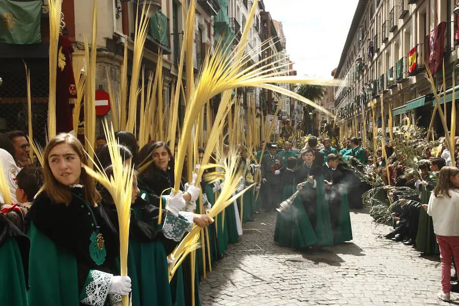 Fotos: Procesión de la Borriquilla en Valladolid (4/6)