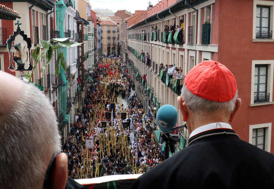Fotos: Procesión de Las Palmas en Valladolid