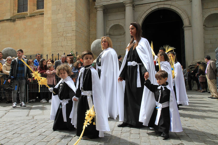 Fotos: Procesión de la Borriquilla en Segovia