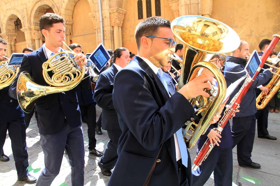 Fotos: Procesión de la Borriquilla en Segovia
