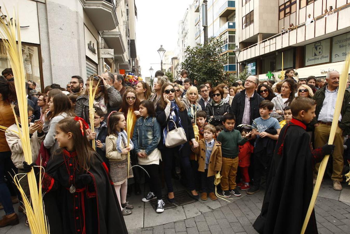 Fotos: Procesión de la Borriquilla (5/6)