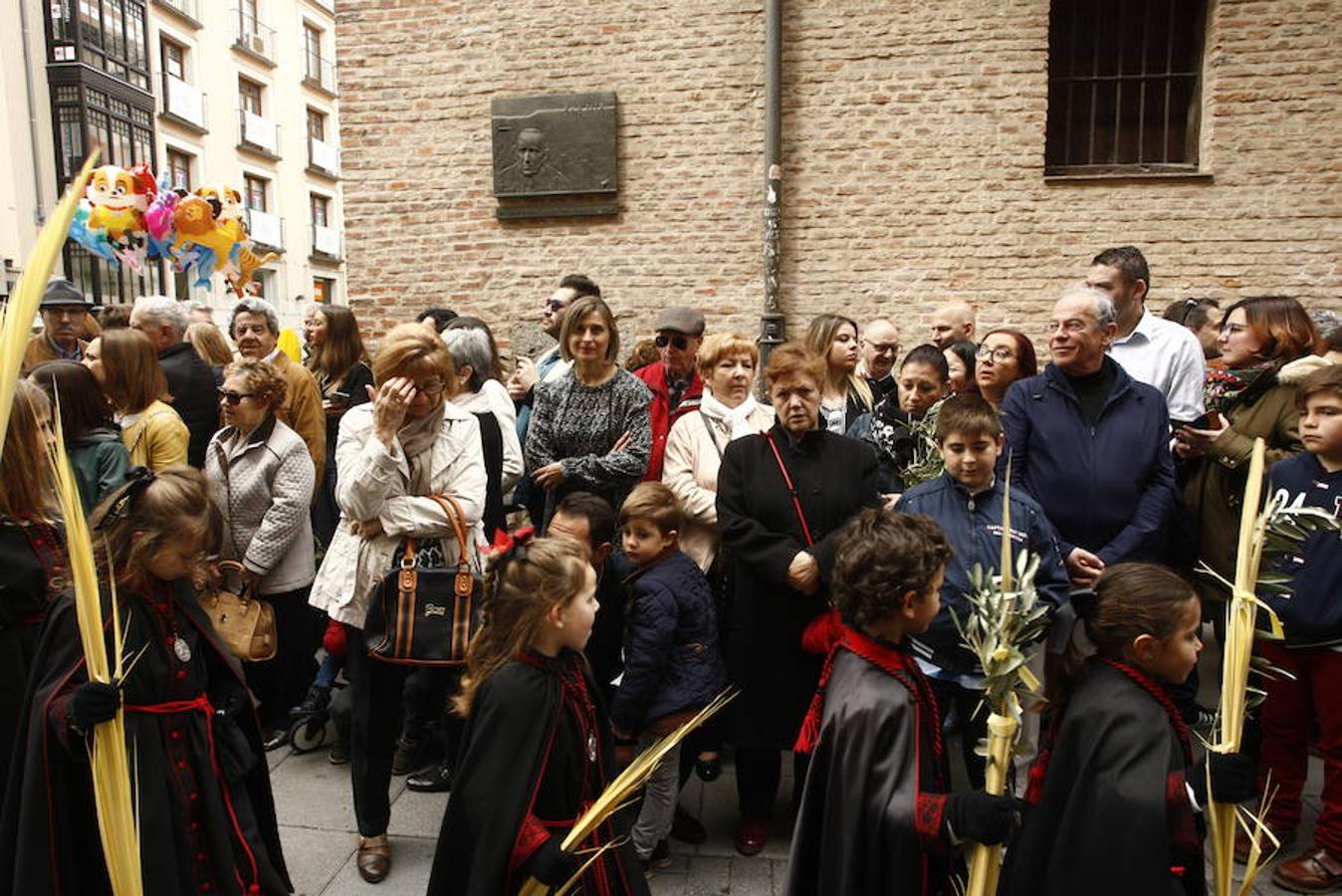 Fotos: Procesión de la Borriquilla (5/6)