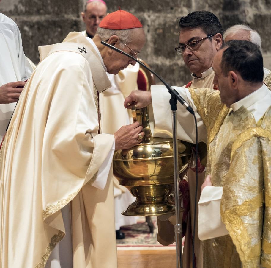 Fotos: Misa Crismal en la Catedral de Valladolid