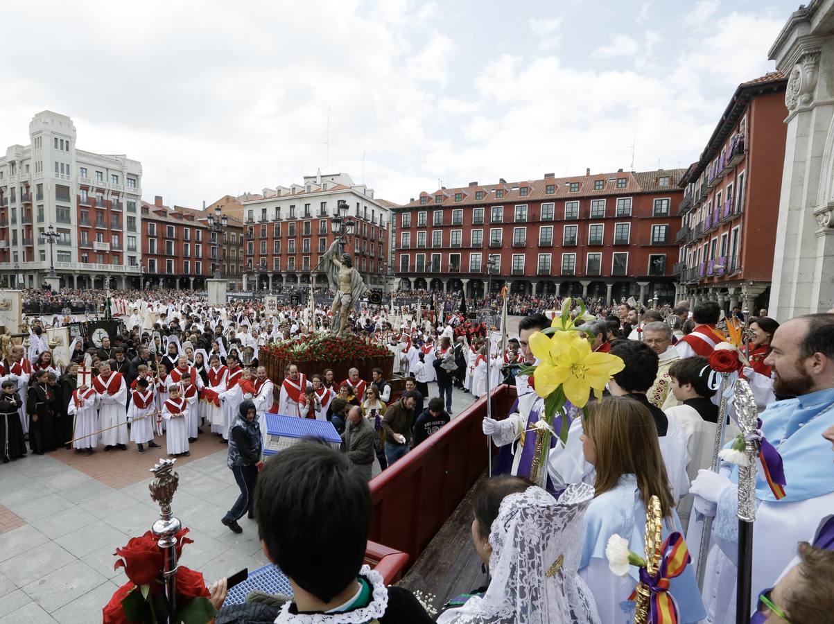 Fotos: Procesión del Encuentro de Jesús Resucitado con la Virgen de la Alegría en Valladolid (2/2)