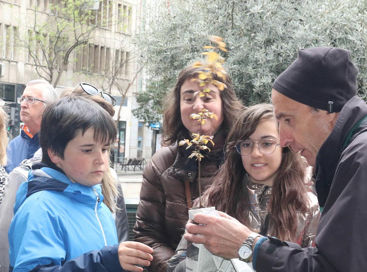 Los libreros han celebrado este 23 de abril el Día del Libro en la Plaza de España de Valladolid