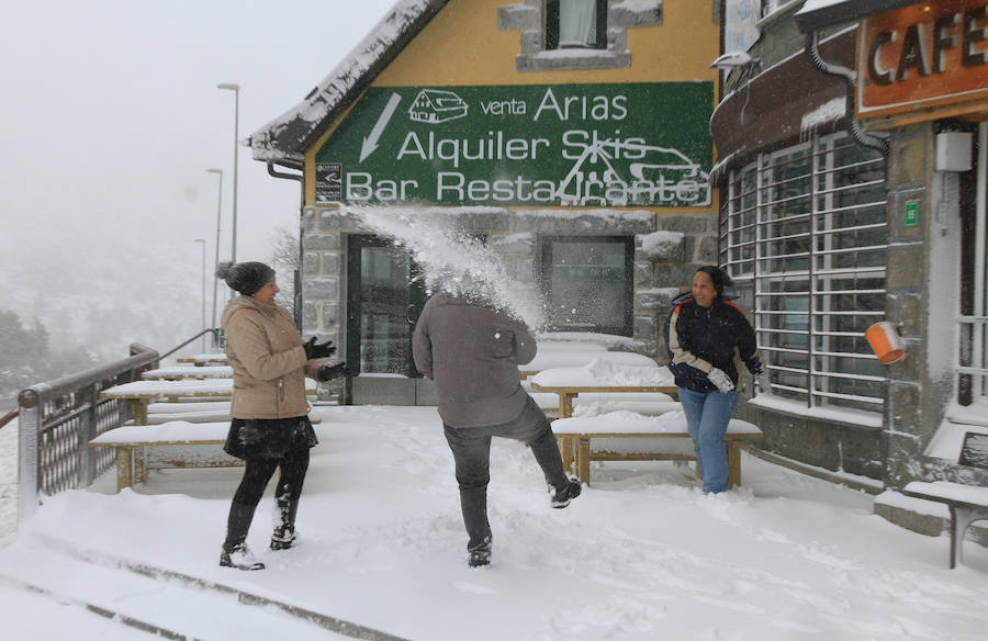 Fotos: Nieve y ventisca en el puerto de Navacerrada