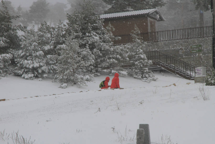 Fotos: Nieve y ventisca en el puerto de Navacerrada