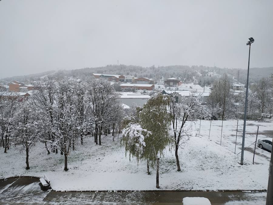 Fotos: La nieve vuelve a finales de abril al norte de Palencia