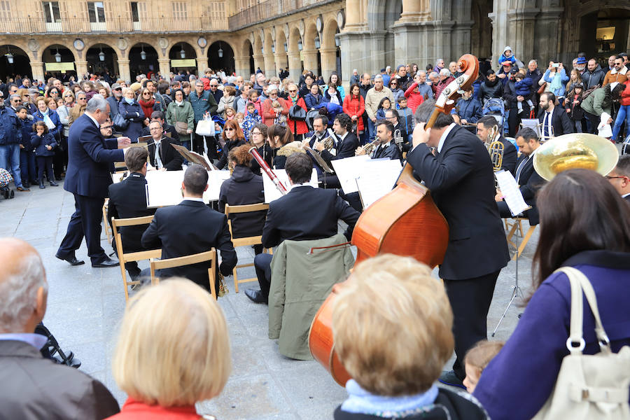 Fotos: Miles de Libros invaden la Plaza Mayor de Salamanca