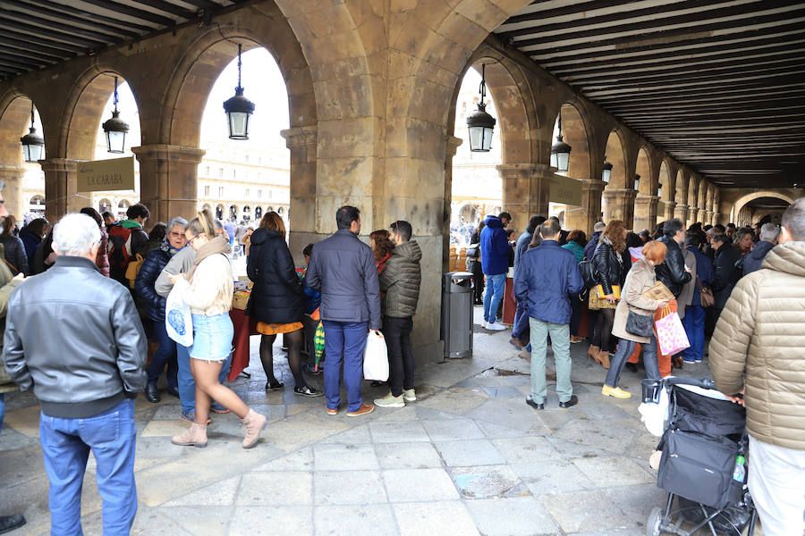 Fotos: Miles de Libros invaden la Plaza Mayor de Salamanca